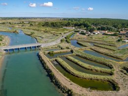 Camping Pas Cher vous présente avec son site Officiel campingpascher.fr, le CampingL'Océan classé 5 étoiles, situé sur la commune de Brem Sur Mer dans le département Vendée (Pays De La Loire) en France. Le camping L'Océan, vous présente un hébergement de type mobil-home de 27 m² pour 1 personne et télévision. Le camping L'Océan vous propose du sam. 24 octobre au sam. 31 octobre 2026, en promotion à -4% pour 7 nuits à 429 € au lieu de 449,0 € soit une Économie de 20 €. Cette location propose 26 dates différentes pour réserver votre séjour. Découvrez également les 8 autres gammes d'hébergements du camping. Les Avis clients pour le CampingL'Océan sont excellents avec une note moyenne de 8 sur 10. Parc aquatique, Piscine couverte, Piscine extérieure, Animations familiales, Club ados, Club enfants, Aire de jeux enfants, Centre équestre, Court de tennis, Flipper, Golf, Ping-pong, Piscine, Planche à voile, Pétanque, Terrain de volley-ball, Terrain multisports, Bar, Brasserie, Dépôt de pain, Plats à emporter, Snack/Bar, Épicerie,... En savoir plus : cliquez-ICI.