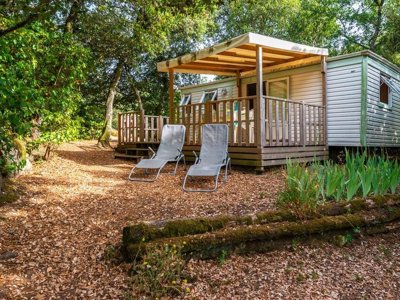 Cliquez pour découvrir toutes les photos de l'ÉTABLISSEMENT ! camping Flower Le Martinet Rouge photo 15
