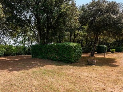 Cliquez pour découvrir toutes les photos de l'ÉTABLISSEMENT ! camping Flower Le Martinet Rouge photo 19