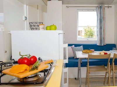Cliquez pour découvrir toutes les photos de l'HÉBERGEMENT ! mobil-home - La Trévillière photo 2