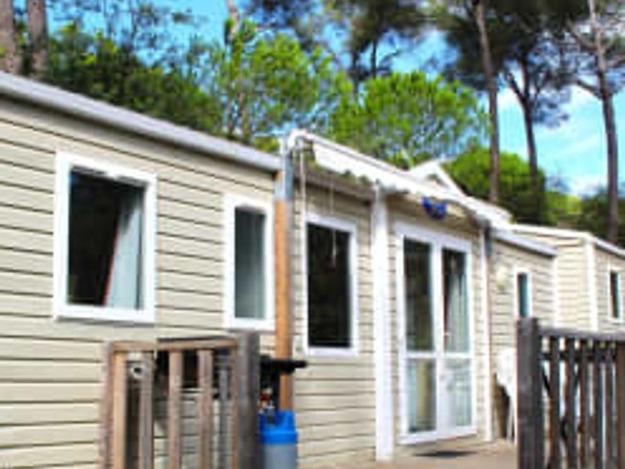 Camping Pas Cher vous présente avec son site Officiel campingpascher.fr, le Camping Sènia Cala Gogo Internacional classé 4 étoiles, situé sur la commune de Calonge dans le département Gérone (Catalogne) en Espagne. Le camping Sènia Cala Gogo Internacional, vous présente un hébergement de type mobil-home de 36 m² avec climatisation. Le camping Sènia Cala Gogo Internacional vous proposeun séjour PAS CHER avec une REMISEdu mercredi 09 septembre au mercredi 16 septembre 2026, en promotion à -50% pour 7 nuits à 413 € au lieu de 826,0 € soit une Économie de 413 €. Cette location propose 12 dates différentes pour réserver votre séjour. Découvrez également les 25 autres gammes d'hébergements du camping. Les Avis clients pour le Camping Sènia Cala Gogo Internacional sont excellents avec une note moyenne de 8 sur 10. Mer, Parc aquatique, Piscine extérieure, Animations familiales, Club enfants, Aire de jeux enfants, Baby-foot, Canoë-kayak, Court de tennis, Golf, Ping-pong, Piscine, Planche à voile, Plongée, Salle de fitness, Salle de jeux vidéo, Terrain de basketball, Terrain de beach-volley, Terrain de football, Terrain multisports, Bar, Dépôt de pain, Plats à emporter, Snack/Bar, Épicerie,... En savoir plus : cliquez-ICI.