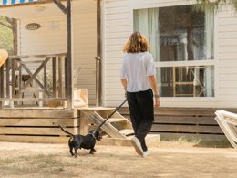 Camping Pas Cher vous présente avec son site Officiel campingpascher.fr, le Camping Sènia Cala Gogo Internacional classé 4 étoiles, situé sur la commune de Calonge dans le département Gérone (Catalogne) en Espagne. Le camping Sènia Cala Gogo Internacional, vous présente un hébergement de type mobil-home de 24 m² avec climatisation. Le camping Sènia Cala Gogo Internacional vous proposeun séjour PAS CHER avec une REMISEdu sam. 06 juin au sam. 13 juin 2026, en promotion à -50% pour 7 nuits à 283,50 € au lieu de 567,0 € soit une Économie de 283,50 €. Cette location propose 57 dates différentes pour réserver votre séjour. Découvrez également les 17 autres gammes d'hébergements du camping. Les Avis clients pour le Camping Sènia Cala Gogo Internacional sont excellents avec une note moyenne de 8 sur 10. Mer, Parc aquatique, Piscine extérieure, Animations familiales, Club enfants, Aire de jeux enfants, Baby-foot, Canoë-kayak, Court de tennis, Golf, Ping-pong, Piscine, Planche à voile, Plongée, Salle de fitness, Salle de jeux vidéo, Terrain de basketball, Terrain de beach-volley, Terrain de football, Terrain multisports, Bar, Dépôt de pain, Plats à emporter, Snack/Bar, Épicerie,... En savoir plus : cliquez-ICI.