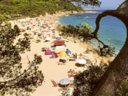 Cliquez pour découvrir toutes les photos de l'ÉTABLISSEMENT ! camping International De Calonge photo 3