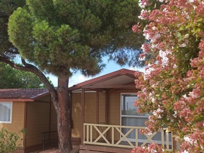 Cliquez pour découvrir toutes les photos de l'HÉBERGEMENT ! bungalow - Roca Grossa photo 2