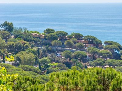 Cliquez pour découvrir toutes les photos de l'ÉTABLISSEMENT ! camping Roca Grossa photo 3