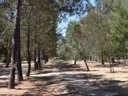 camping Paradella photo 11