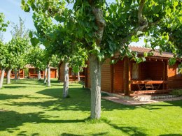 Camping Pas Cher vous présente avec son site Officiel campingpascher.fr, le Camping La Llosa classé 2 étoiles, situé sur la commune de Cambrils dans le département Tarragone (Catalogne) en Espagne. Le camping La Llosa, vous présente un hébergement de type bungalow de 36 m² pour 5 personnes avec climatisation et télévision. Le camping La Llosa vous propose du vendredi 27 février au vendredi 06 mars 2026, en promotion à -28% pour 7 nuits à 450 € au lieu de 630,0 € soit une Économie de 180 €. Cette location propose 140 dates différentes pour réserver votre séjour. Découvrez également les 9 autres gammes d'hébergements du camping. Les Avis clients pour le Camping La Llosa sont excellents avec une note moyenne de 8 sur 10. Mer, Piscine extérieure, Animation enfants, Animations familiales, Club enfants, Aire de jeux enfants, Ping-pong, Piscine, Planche à voile, Plongée, Pétanque, Terrain multisports, Tir à l’arc, Bar, Dépôt de pain, Plats à emporter, Restaurant, Supermarché,... En savoir plus : cliquez-ICI.