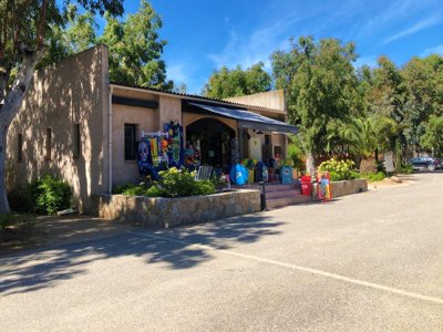 Cliquez pour découvrir toutes les photos de l'ÉTABLISSEMENT ! camping La Pinède photo 24