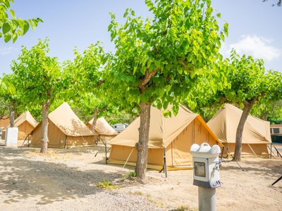 Cliquez pour découvrir toutes les photos de l'ÉTABLISSEMENT ! établissement Cambrils Caban photo 22