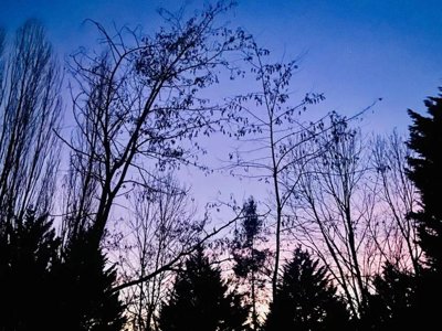 Cliquez pour découvrir toutes les photos de l'ÉTABLISSEMENT ! camping Flower La Pibola photo 11