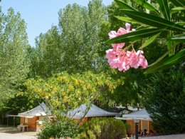 Camping Pas Cher vous présente avec son site Officiel campingpascher.fr, le Camping Les Fouguieres classé 3 étoiles, situé sur la commune de Carces dans le département Var (Provence-alpes-côte D'azur) en France. Le camping Les Fouguieres vous propose un hébergement de type mobil-home. L'établissement vous propose 6 autres types d'hébergements. Découvrez tous nos séjours à petits prix dans la commune et aux alentours de Carces du département : Var (Provence-alpes-côte D'azur). Les Avis clients pour le Camping Les Fouguieres sont excellents avec une note moyenne de 8 sur 10. LacMerRivière, Piscine chauffée, Piscine extérieure, Animations familiales, Aire de jeux enfants, Canoë-kayak, Centre équestre, Ping-pong, Pétanque, Randonnée, Terrain de badminton, Terrain de volley-ball, Bar, Snack/Bar,... En savoir plus : cliquez-ICI.