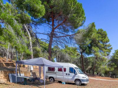 camping Flower Torraccia photo 17