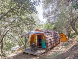 Camping Pas Cher vous présente avec son site Officiel campingpascher.fr, le Camping Torraccia classé 3 étoiles, situé sur la commune de Cargese dans le département Corse Du Sud (Corse) en France. Le camping Torraccia, vous présente un hébergement de type chalet de 35 m² pour 5 personnes avec climatisation. Le camping Torraccia vous propose du sam. 12 septembre au sam. 19 septembre 2026, en promotion à -29% pour 7 nuits à 379 € au lieu de 537,0 € soit une Économie de 158 €. Cette location propose 17 dates différentes pour réserver votre séjour. Découvrez également les 6 autres gammes d'hébergements du camping. Les Avis clients pour le Camping Torraccia sont excellents avec une note moyenne de 8 sur 10. Piscine extérieure, Aire de jeux enfants, Baby-foot, Canoë-kayak, Canyoning, Centre équestre, Jet-ski, Plongée, Randonnée, Terrain multisports, Dépôt de pain, Restaurant, Snack/Bar, Station-service, Supermarché,... En savoir plus : cliquez-ICI.