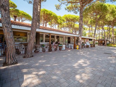 Cliquez pour découvrir toutes les photos de l'ÉTABLISSEMENT ! établissement Laguna Village photo 18