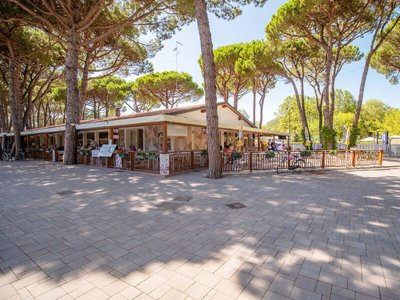 Cliquez pour découvrir toutes les photos de l'ÉTABLISSEMENT ! établissement Laguna Village photo 19