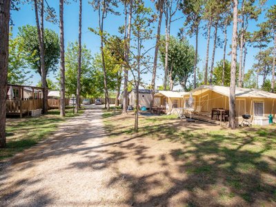 Cliquez pour découvrir toutes les photos de l'ÉTABLISSEMENT ! établissement Laguna Village photo 22