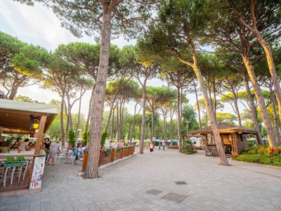 Cliquez pour découvrir toutes les photos de l'ÉTABLISSEMENT ! établissement Laguna Village photo 23