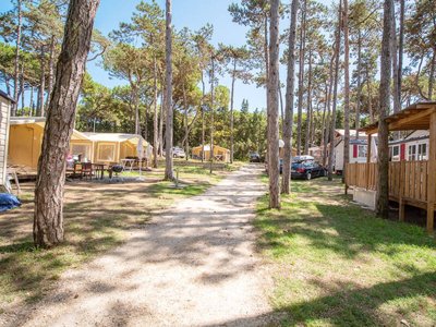 Cliquez pour découvrir toutes les photos de l'ÉTABLISSEMENT ! établissement Laguna Village photo 24