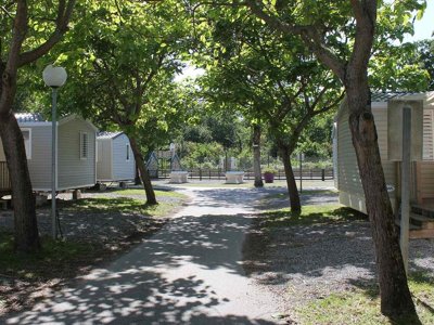 Cliquez pour découvrir toutes les photos de l'ÉTABLISSEMENT ! camping Siblu La Pointe - Funpass Inclus photo 6