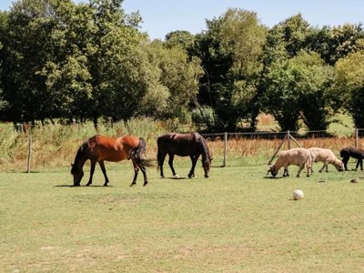 camping Domaine De Kervallon photo 21