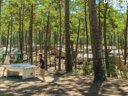 Cliquez pour découvrir toutes les photos de l'ÉTABLISSEMENT ! camping De La Dune Bleue photo 3