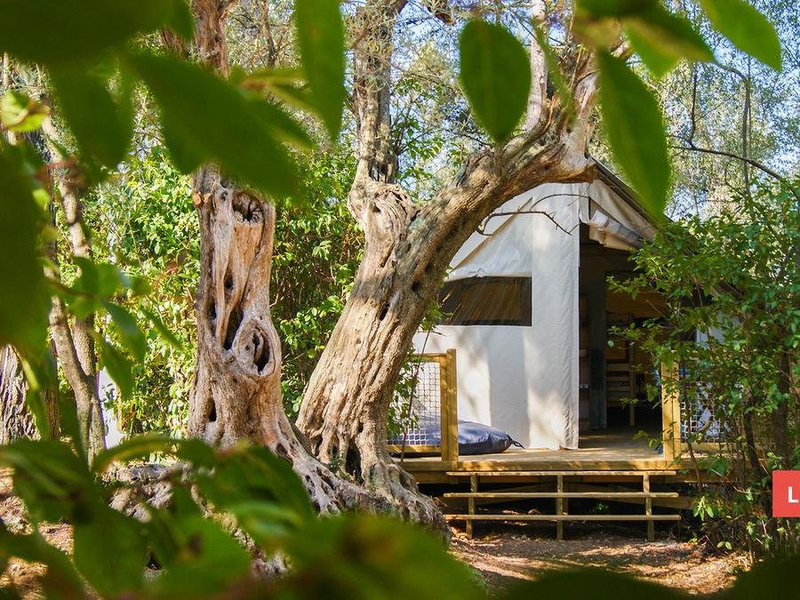 Camping Pas Cher vous présente avec son site Officiel campingpascher.fr, le Camping Le Beau Vezé classé 4 étoiles, situé sur la commune de Carqueiranne dans le département Var (Provence Alpes Côte D'azur) en France. Le camping Le Beau Vezé, vous présente un hébergement de type lodge de 21 m² pour 5 personnes. Le camping Le Beau Vezé vous propose du dimanche 06 septembre au dimanche 13 septembre 2026 pour 7 nuits à 288€. Cette location propose 86 dates différentes pour réserver votre séjour. Découvrez également les 16 autres gammes d'hébergements du camping. Les Avis clients pour le Camping Le Beau Vezé sont excellents avec une note moyenne de 8 sur 10. Piscine extérieure, Animations familiales, Club enfants, Aire de jeux enfants, Canoë-kayak, Centre équestre, Golf, Ping-pong, Plongée, Pétanque, Terrain de volley-ball, Terrain multisports, Dépôt de pain, Pizzeria, Plats à emporter, Snack/Bar,... En savoir plus : cliquez-ICI.