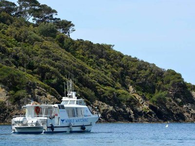 camping Le Beau Vezé photo 27