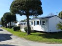 Cliquez pour découvrir toutes les photos de l'HÉBERGEMENT ! mobil-home - camping De Kerabus photo 8