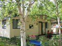 mobil-home - camping Badiaccia Village photo 2