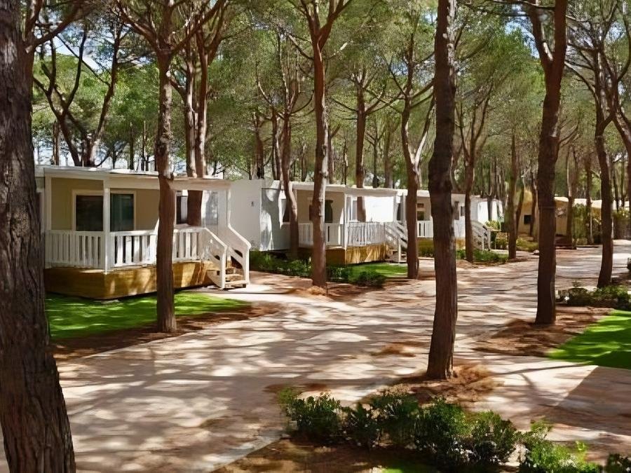 Camping Pas Cher vous présente avec son site Officiel campingpascher.fr, le Camping Gitavillage Le Marze, situé sur la commune de Grosseto dans le département Grosseto (Toscane) en Italie. Le camping Gitavillage Le Marze, vous présente un hébergement de type lodge de 32 m² pour 1 personne avec climatisation. Le camping Gitavillage Le Marze vous propose du lundi 14 septembre au lundi 21 septembre 2026 pour 7 nuits à 543€. Cette location propose 30 dates différentes pour réserver votre séjour. Découvrez également les 12 autres gammes d'hébergements du camping. Les Avis clients pour le Camping Gitavillage Le Marze sont excellents avec une note moyenne de 8 sur 10. Piscine extérieure, Animations familiales, Club enfants, Aire de jeux enfants, Centre équestre, Court de tennis, Golf, Pétanque, Terrain multisports, Bar, Dépôt de pain, Pizzeria, Restaurant, Snack/Bar, Épicerie,... En savoir plus : cliquez-ICI.