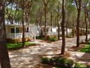 Camping Pas Cher vous présente avec son site Officiel campingpascher.fr, le Camping Gitavillage Le Marze, situé sur la commune de Grosseto dans le département Grosseto (Toscane) en Italie. Le camping Gitavillage Le Marze, vous présente un hébergement de type lodge de 32 m² pour 1 personne avec climatisation. Le camping Gitavillage Le Marze vous propose du jeudi 21 mai au jeudi 28 mai 2026 pour 7 nuits à 518€. Cette location propose 72 dates différentes pour réserver votre séjour. Découvrez également les 12 autres gammes d'hébergements du camping. Les Avis clients pour le Camping Gitavillage Le Marze sont excellents avec une note moyenne de 8 sur 10. Piscine extérieure, Animations familiales, Club enfants, Aire de jeux enfants, Centre équestre, Court de tennis, Golf, Pétanque, Terrain multisports, Bar, Dépôt de pain, Pizzeria, Restaurant, Snack/Bar, Épicerie,... En savoir plus : cliquez-ICI.