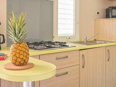 Cliquez pour découvrir toutes les photos de l'HÉBERGEMENT ! mobil-home - Flower Le Fondespierre photo 3