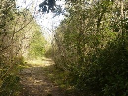 Camping Pas Cher vous présente avec son site Officiel campingpascher.fr, le Camping Le Clos De La Lère classé 3 étoiles, situé sur la commune de Cayriech dans le département Tarn-et-garonne (Midi Pyrénées) en France. Le camping Le Clos De La Lère vous propose un hébergement de type mobil-home de 28 m² pour 6 personnes. L'établissement vous propose 5 autres types d'hébergements. Découvrez tous nos séjours à petits prix dans la commune et aux alentours de Cayriech du département : Tarn-et-garonne (Midi Pyrénées). Les Avis clients pour le Camping Le Clos De La Lère sont de 7 sur 10. Piscine chauffée, Piscine extérieure, Animations familiales, Aire de jeux enfants, Canoë-kayak, Centre équestre, Court de tennis, Ping-pong, Pétanque, Randonnée, Terrain multisports, Dépôt de pain, Supermarché, Épicerie,... En savoir plus : cliquez-ICI.