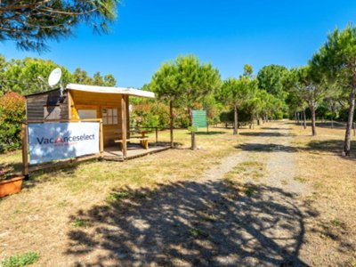 Cliquez pour découvrir toutes les photos de l'ÉTABLISSEMENT ! camping Le Tamerici photo 26