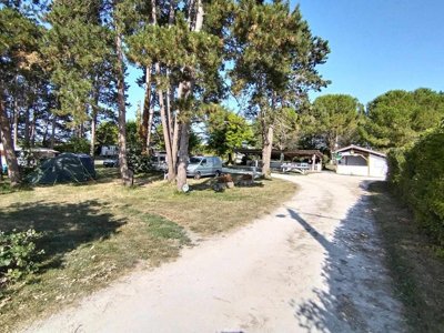 Cliquez pour découvrir toutes les photos de l'ÉTABLISSEMENT ! camping Du Pas Des Biches photo 12