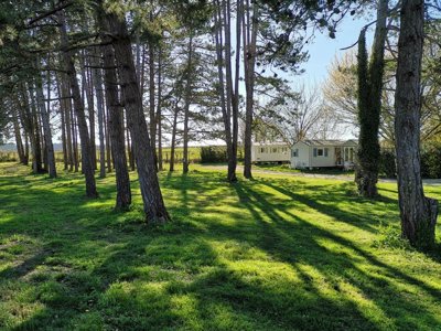 Cliquez pour découvrir toutes les photos de l'ÉTABLISSEMENT ! camping Du Pas Des Biches photo 17