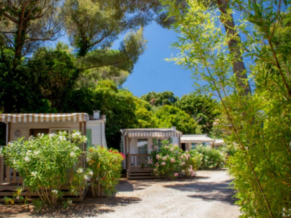 Camping Pas Cher vous présente avec son site Officiel campingpascher.fr, le Camping De La Baie classé 4 étoiles, situé sur la commune de Cavalaire Sur Mer dans le département Var (Provence Alpes Côte D'azur) en France. Le camping De La Baie vous propose un hébergement de type mobil-home de 17 m² avec climatisation (télévision). L'établissement vous propose 5 autres types d'hébergements. Découvrez tous nos séjours à petits prix dans la commune et aux alentours de Cavalaire Sur Mer du département : Var (Provence Alpes Côte D'azur). Les Avis clients pour le Camping De La Baie sont excellents avec une note moyenne de 8 sur 10. Mer, Piscine chauffée, Piscine extérieure, Animations familiales, Club enfants, Aire de jeux enfants, Centre équestre, Ping-pong, Plongée, Pétanque, Terrain multisports, Bar, Dépôt de pain, Pizzeria, Plats à emporter, Snack/Bar, Épicerie,... En savoir plus : cliquez-ICI.