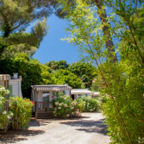 mobil-home - De La Baie photo 1