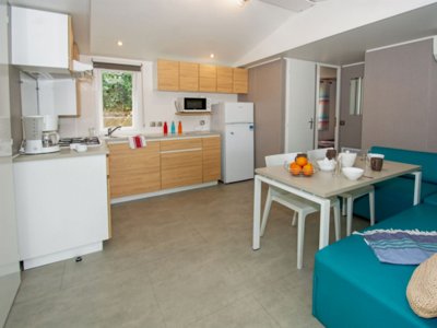 Cliquez pour découvrir toutes les photos de l'HÉBERGEMENT ! mobil-home - De La Baie photo 3