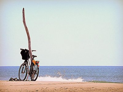 Cliquez pour découvrir toutes les photos de l'ÉTABLISSEMENT ! camping De La Baie photo 27