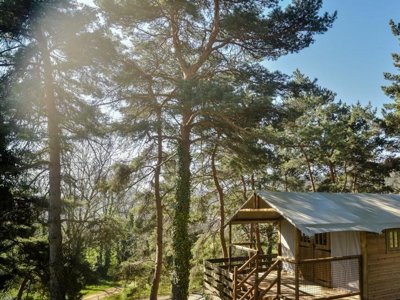 Cliquez pour découvrir toutes les photos de l'ÉTABLISSEMENT ! camping Chanset photo 23