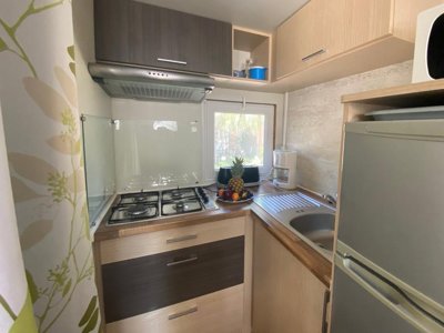 Cliquez pour découvrir toutes les photos de l'HÉBERGEMENT ! mobil-home - De La Treille photo 3