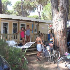 Camping Pas Cher vous présente avec son site Officiel campingpascher.fr, le Camping Marina Di Venezia classé 5 étoiles, situé sur la commune de Cavallino-treporti dans le département Venise (Vénétie) en Italie. Le camping Marina Di Venezia vous propose un hébergement de type mobil-home de 32 m² avec climatisation. L'établissement vous propose 8 autres types d'hébergements. Découvrez tous nos séjours à petits prix dans la commune et aux alentours de Cavallino-treporti du département : Venise (Vénétie). Les Avis clients pour le Camping Marina Di Venezia sont excellents avec une note moyenne de 8 sur 10. Mer, Bassin enfant, Paradis aquatique tropical, Parc aquatique, Piscine extérieure, Animations familiales, Club enfants, Aire de jeux enfants, Canoë-kayak, Court de tennis, Golf, Parcours sportif, Ping-pong, Structure gonflable enfants, Terrain de beach-volley, Terrain de football, Terrain multisports, Bar, Dépôt de pain, Pizzeria, Plats à emporter, Restaurant, Snack/Bar, Épicerie,... En savoir plus : cliquez-ICI.
