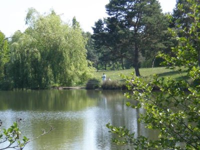 Cliquez pour découvrir toutes les photos de l'ÉTABLISSEMENT ! camping Le Rochat photo 25