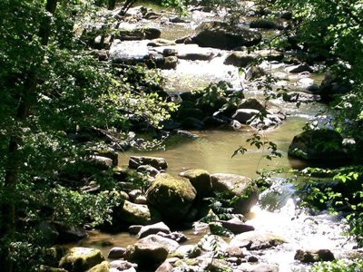 Cliquez pour découvrir toutes les photos de l'ÉTABLISSEMENT ! camping Le Rochat photo 27