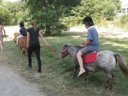 Cliquez pour découvrir toutes les photos de l'ÉTABLISSEMENT ! camping Le Rochat photo 7