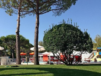 Cliquez pour découvrir toutes les photos de l'ÉTABLISSEMENT ! camping Italy Village photo 25