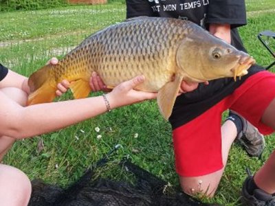 Cliquez pour découvrir toutes les photos de l'ÉTABLISSEMENT ! camping Les Naïades photo 16