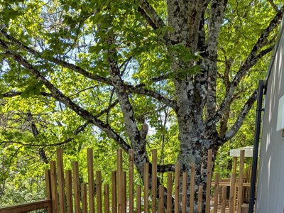 Cliquez pour découvrir toutes les photos de l'HÉBERGEMENT ! mobil-home - Domaine De L'Epinette photo 9