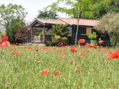 Cliquez pour découvrir toutes les photos de l'ÉTABLISSEMENT ! résidence Les Chalets D'Auvergne photo 14